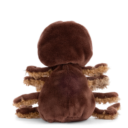 Ziggy Spider