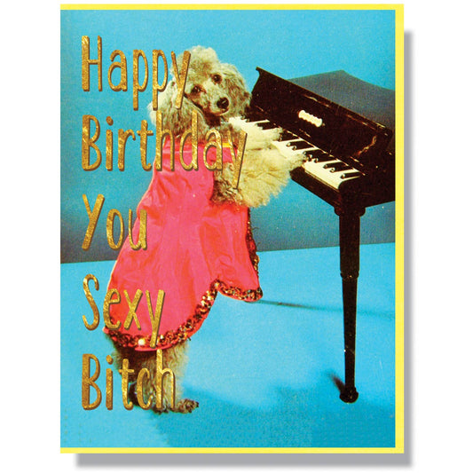Happy Birthday You Sexy Bitch Birthday Card