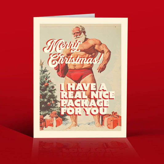 Nice Package! Holiday Card