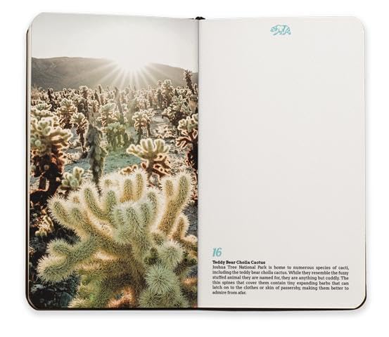 California Visual Notebook