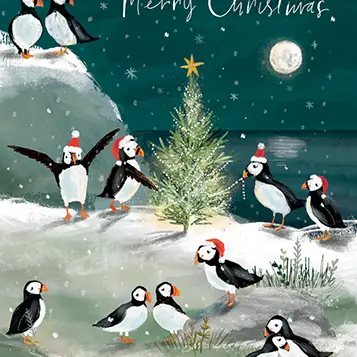 Puffins Holiday Boxed Set of 12 Cards