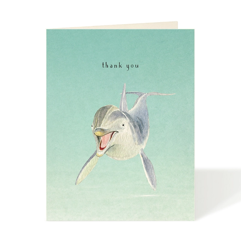 Greeting card with a dolphin illustration and 'thank you' text on a light green background