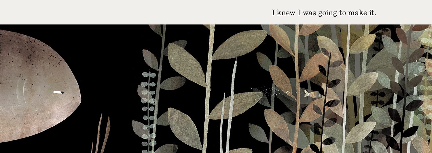 Illustration of a person with a speech bubble and foliage on a black background