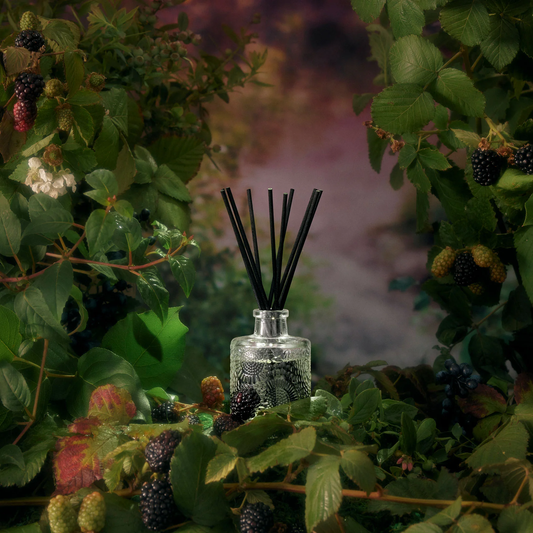 Foraged Wildberry Reed Diffuser