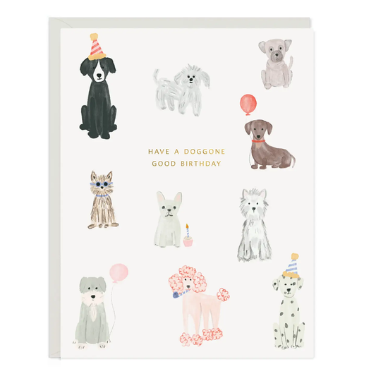 Doggone Birthday