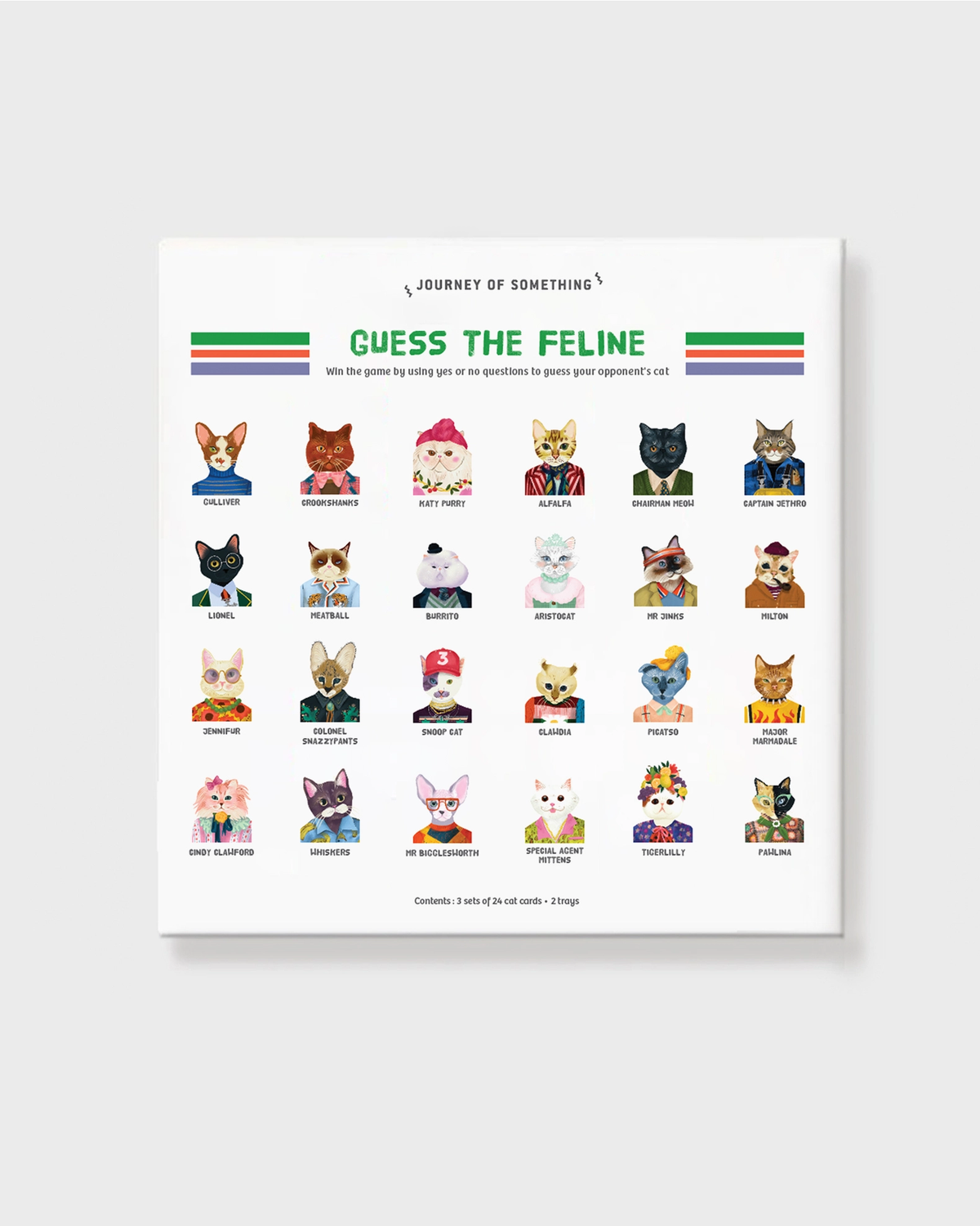 Guess the Feline Card Game