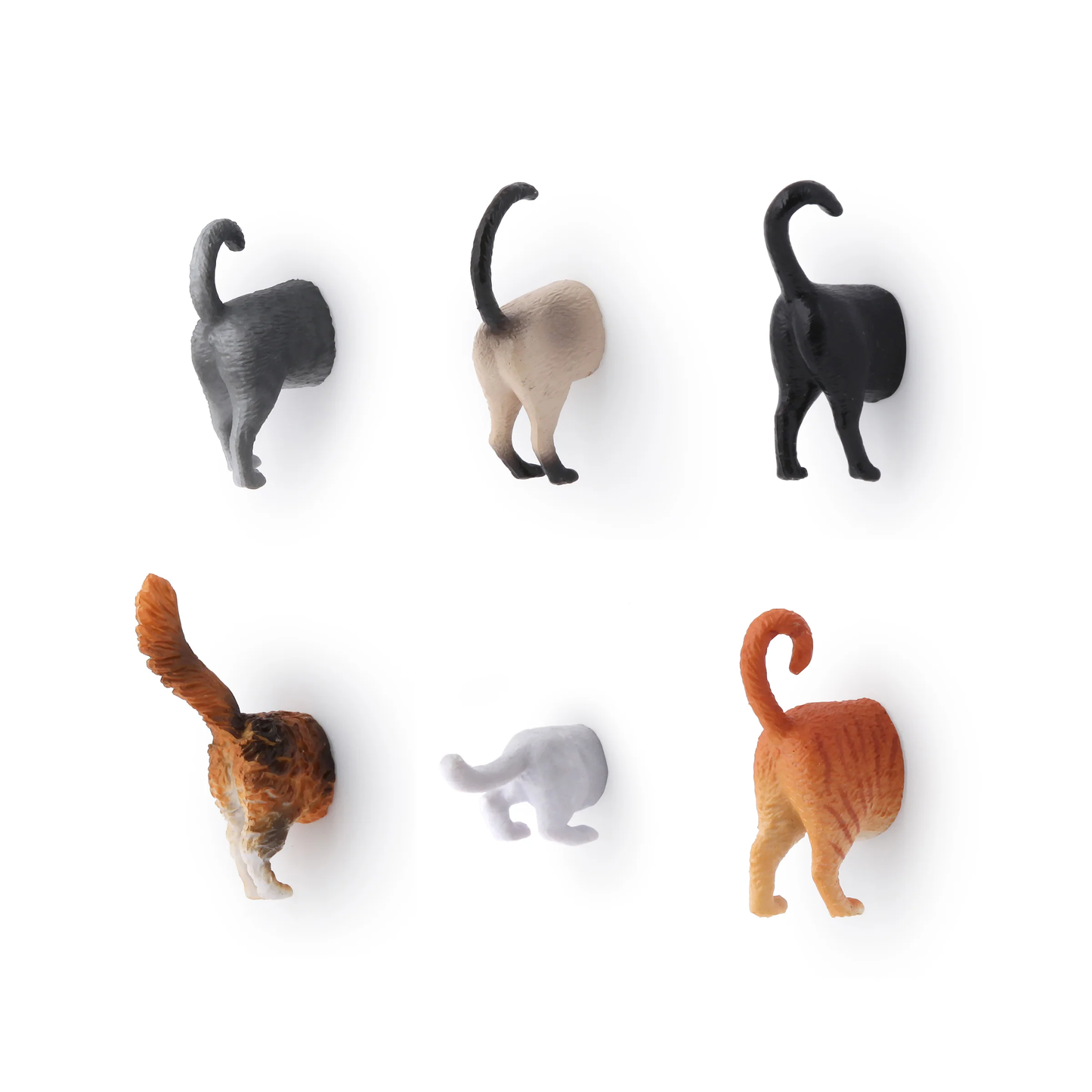 Cat Butt Magnets, S/6