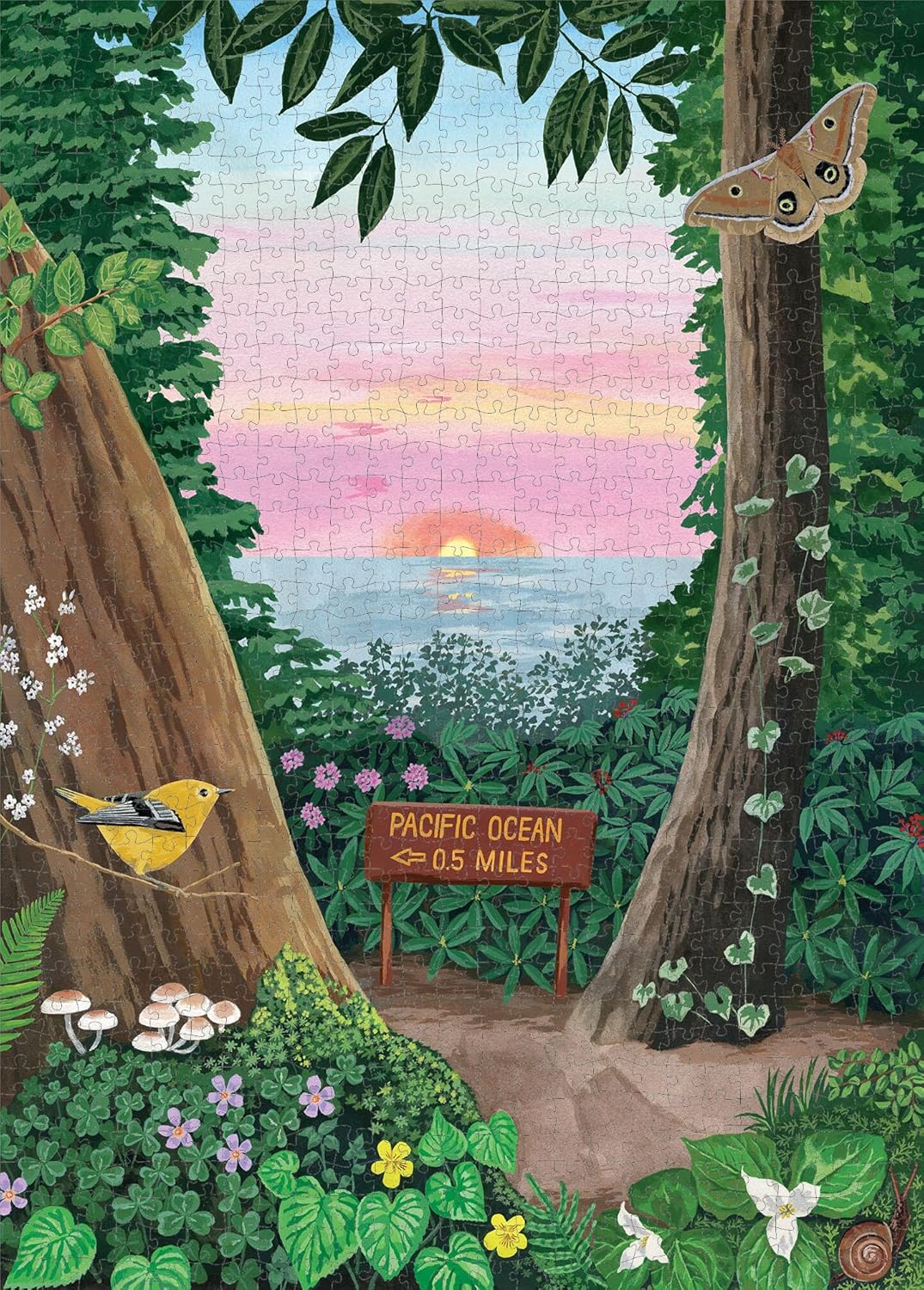 Pacific Coasting Sunset Hike 1,000 Piece Puzzle