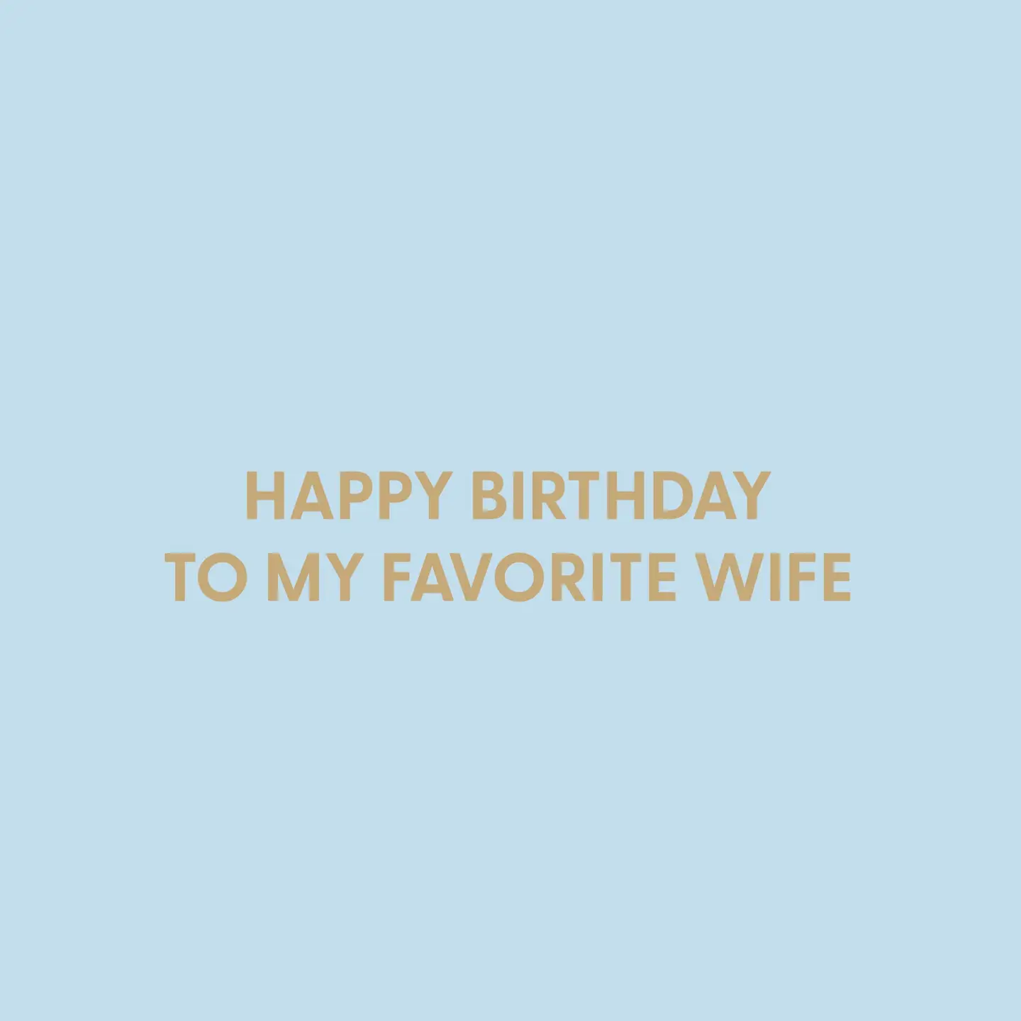 Favorite Wife