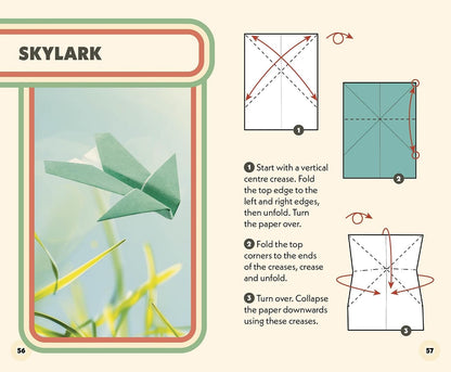 The Box of Mini Paper Planes: A Tiny World of Paper Models in the Palm of Your Hand