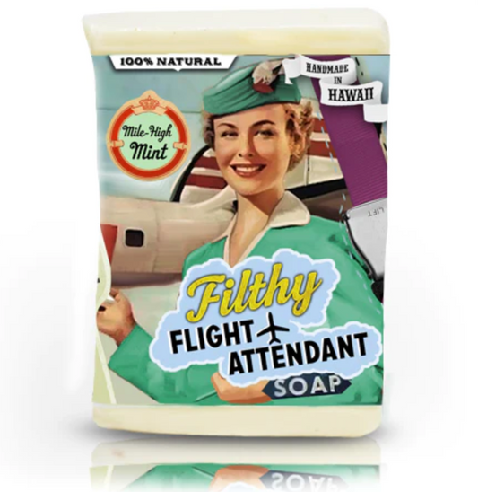 Filthy Flight Attendant